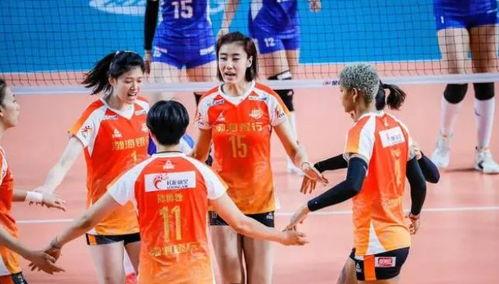 深圳女排最新爆料,揭秘球队备战秘籍与未来展望